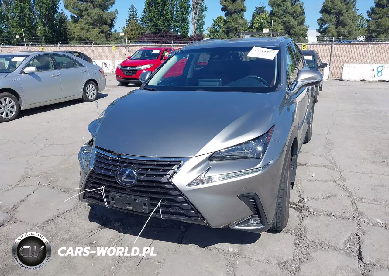 2018 Lexus Nx 300H VIN:JTJBJRBZ0J2096544 - 13