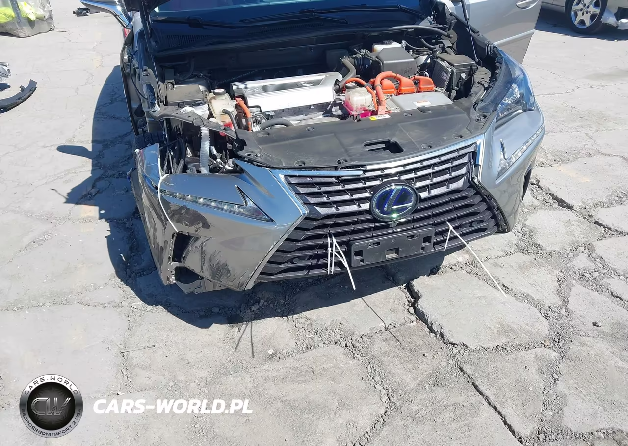 2018 Lexus Nx 300H VIN:JTJBJRBZ0J2096544 - 6
