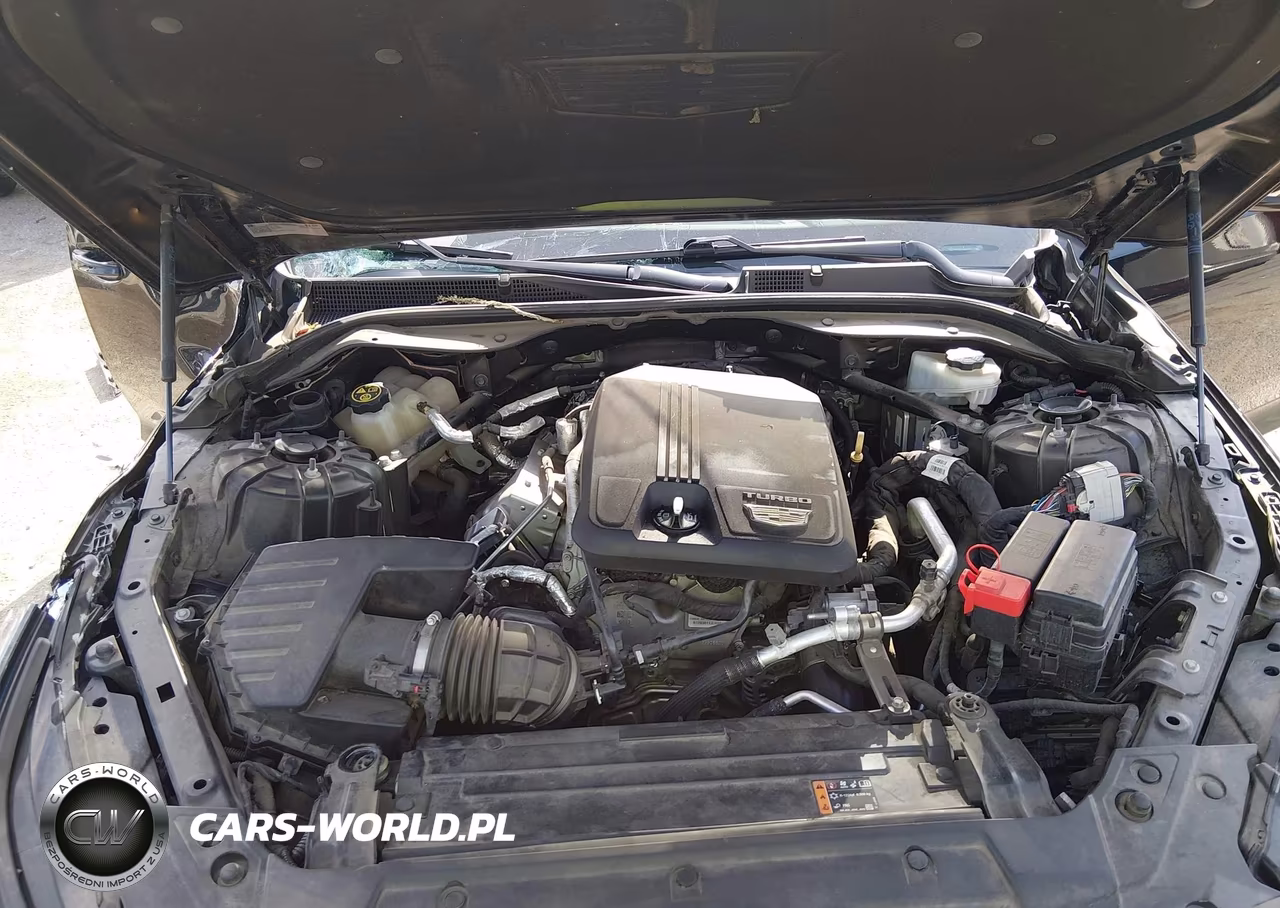 2021 Cadillac Ct5 Luxury VIN:1G6DW5RK2M0115712 - 10