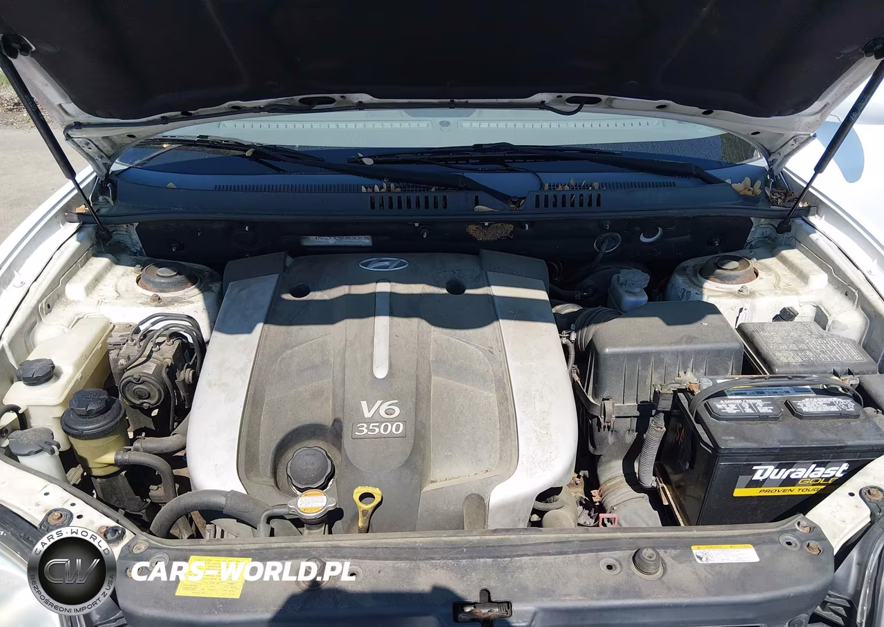 2006 Hyundai Santa Fe Gls-Limited VIN:KM8SC73E56U069635 - 10