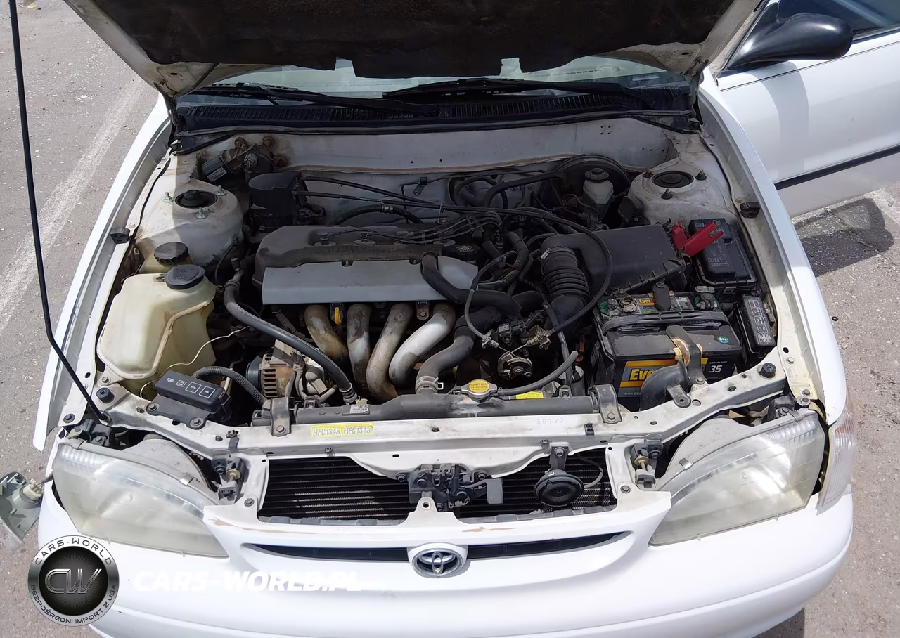 1998 Toyota Corolla Ce VIN:1NXBR12E9WZ097242 - 10