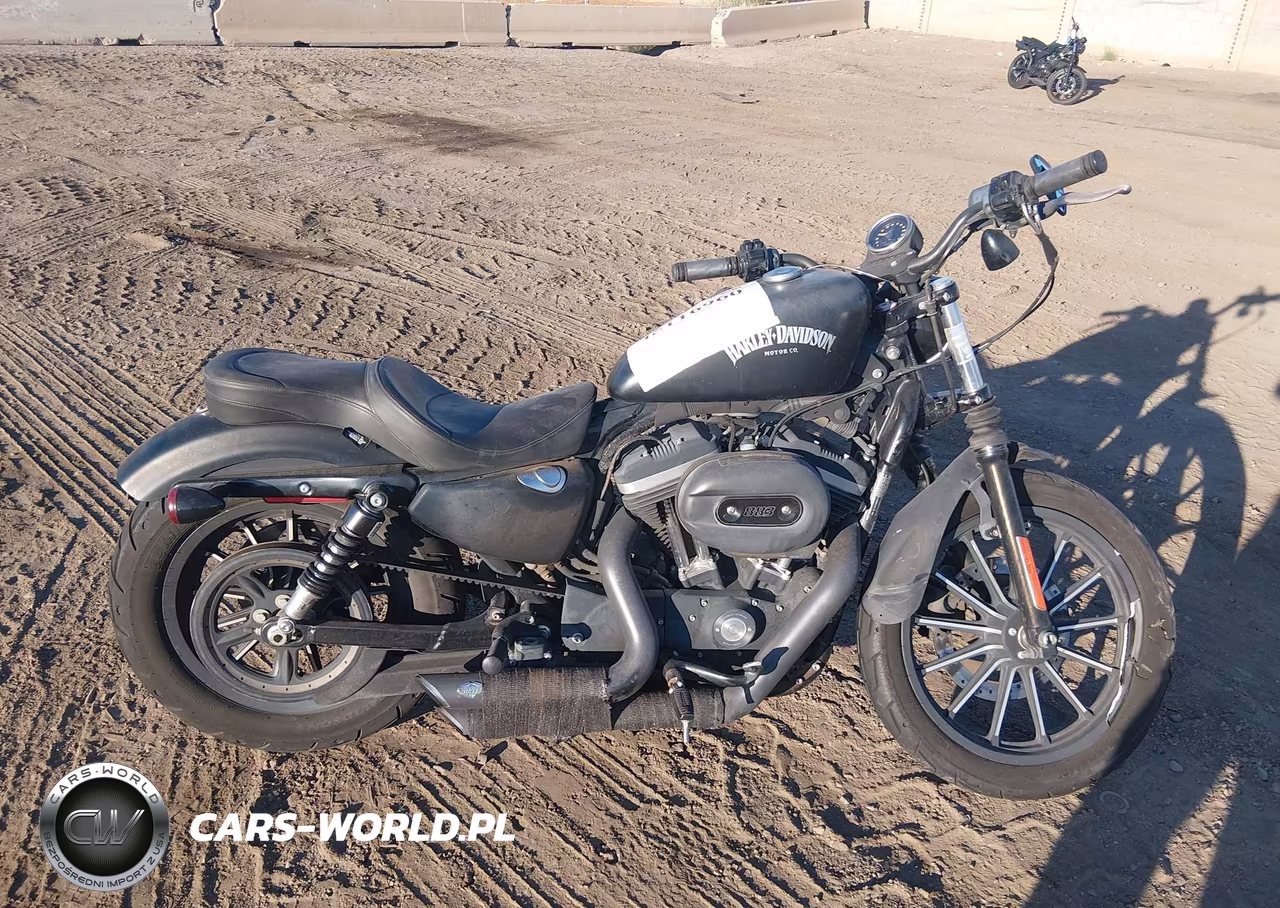 2014 Harley-Davidson Xl883 Iron 883 VIN:1HD4LE213EC408430 - 12