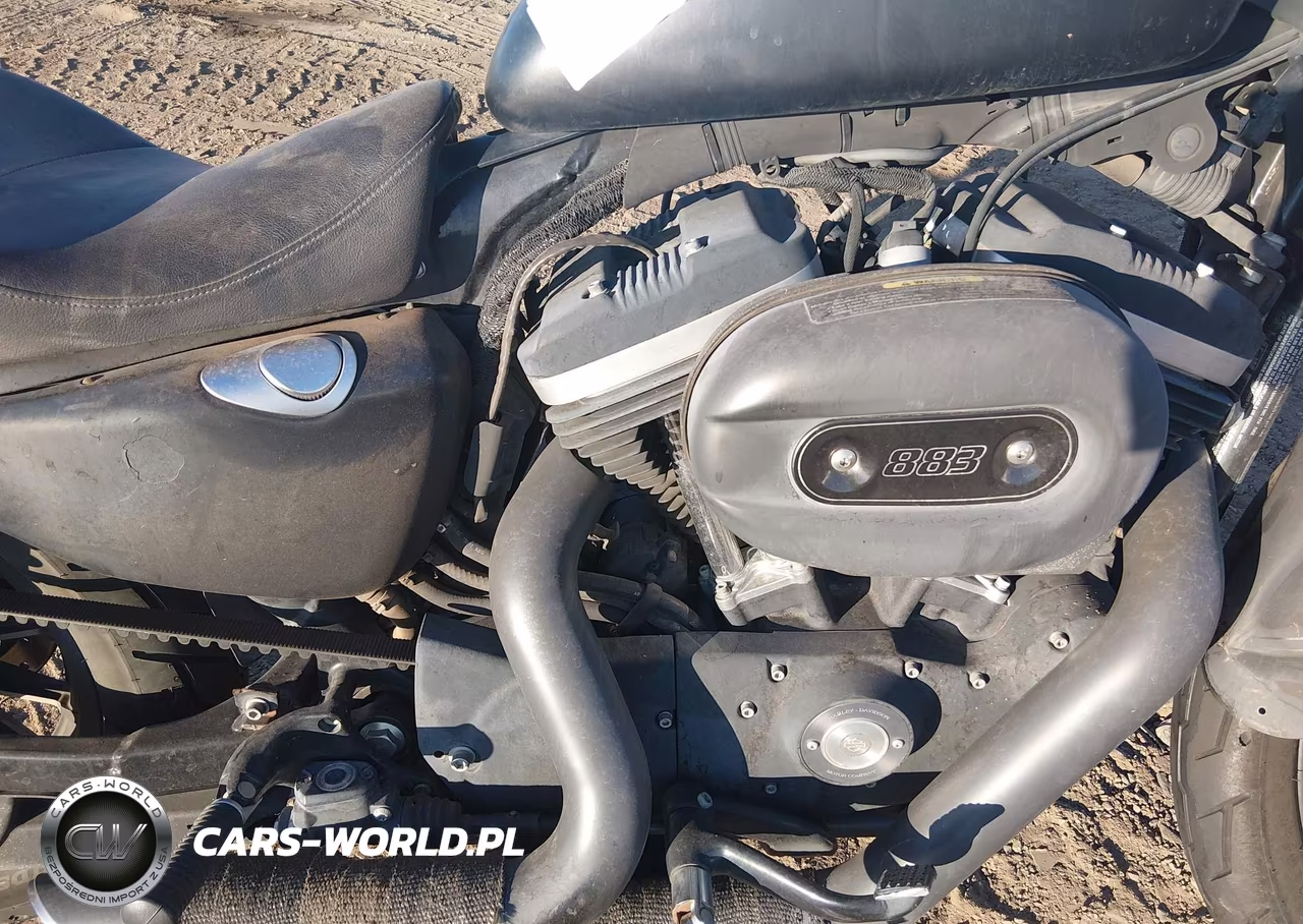 2014 Harley-Davidson Xl883 Iron 883 VIN:1HD4LE213EC408430 - 8