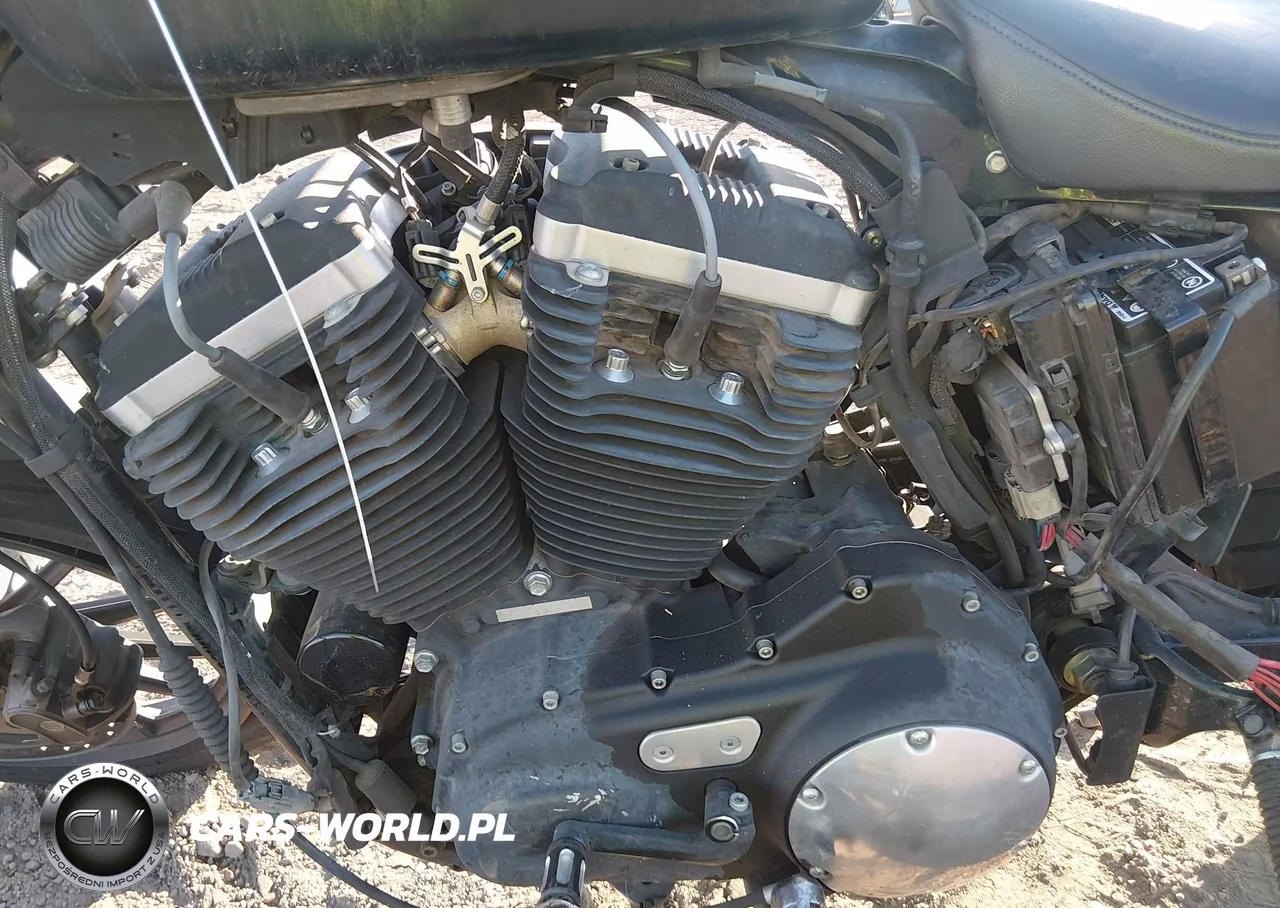 2014 Harley-Davidson Xl883 Iron 883 VIN:1HD4LE213EC408430 - 9