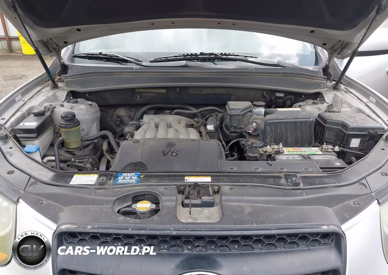 2008 Hyundai Santa Fe Gls VIN:5NMSG13D98H203652 - 10
