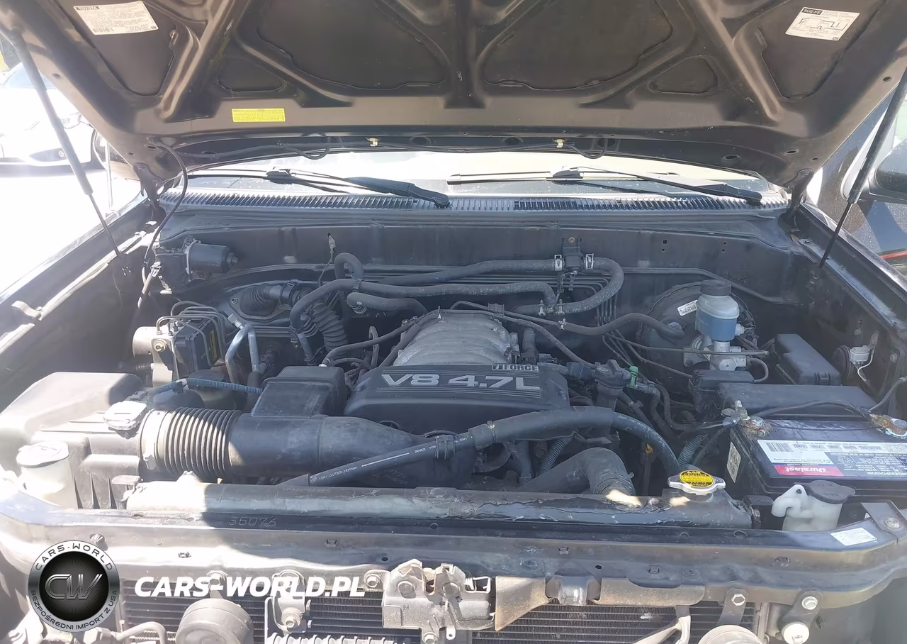 2004 Toyota Sequoia Limited V8 VIN:5TDZT38A74S223085 - 10