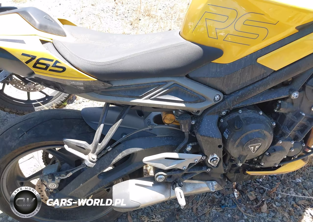 2024 Triumph Motorcycle Street Triple 765 Rs VIN:SMTA614K8RTBV1186 - 19