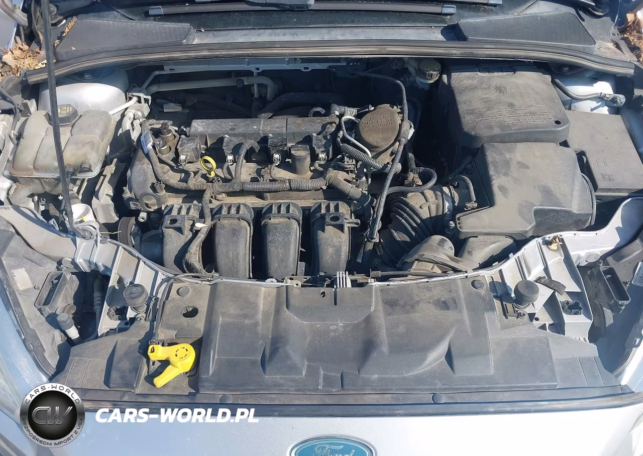 2015 Ford Focus Se VIN:1FADP3F20FL244090 - 10