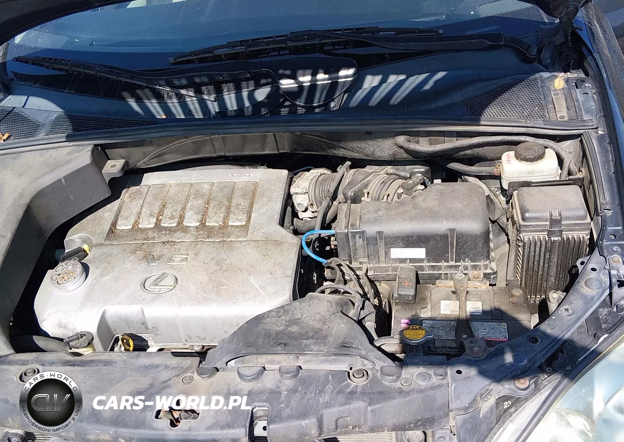 2009 Lexus Rx 350 VIN:2T2HK31U49C126862 - 10