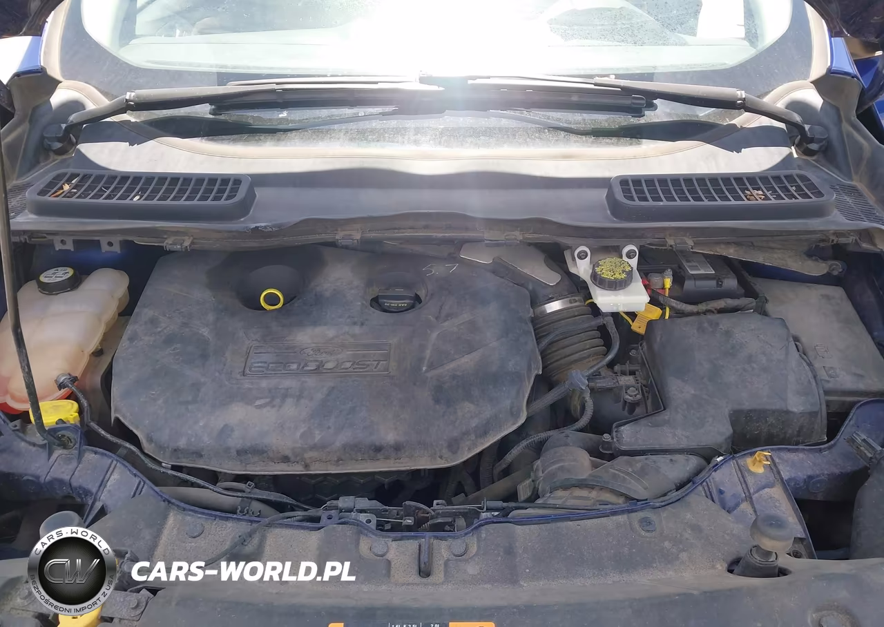2013 Ford Escape Se VIN:1FMCU9G93DUA18481 - 10