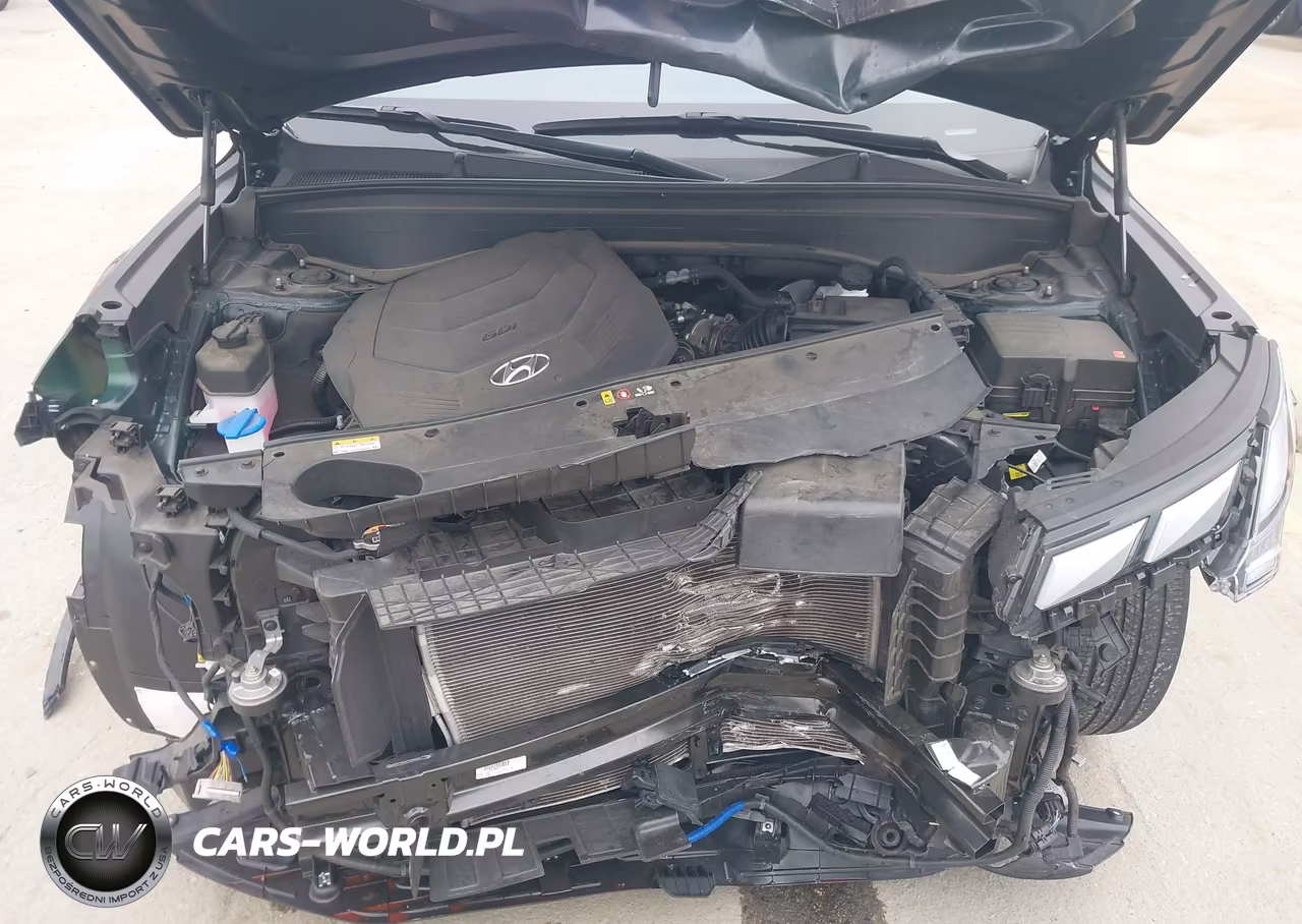 2024 Hyundai Palisade Calligraphy VIN:KM8R7DGE0RU701098 - 10