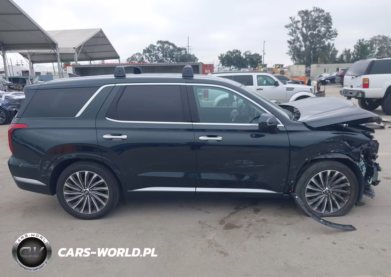 2024 Hyundai Palisade Calligraphy VIN:KM8R7DGE0RU701098 - 14