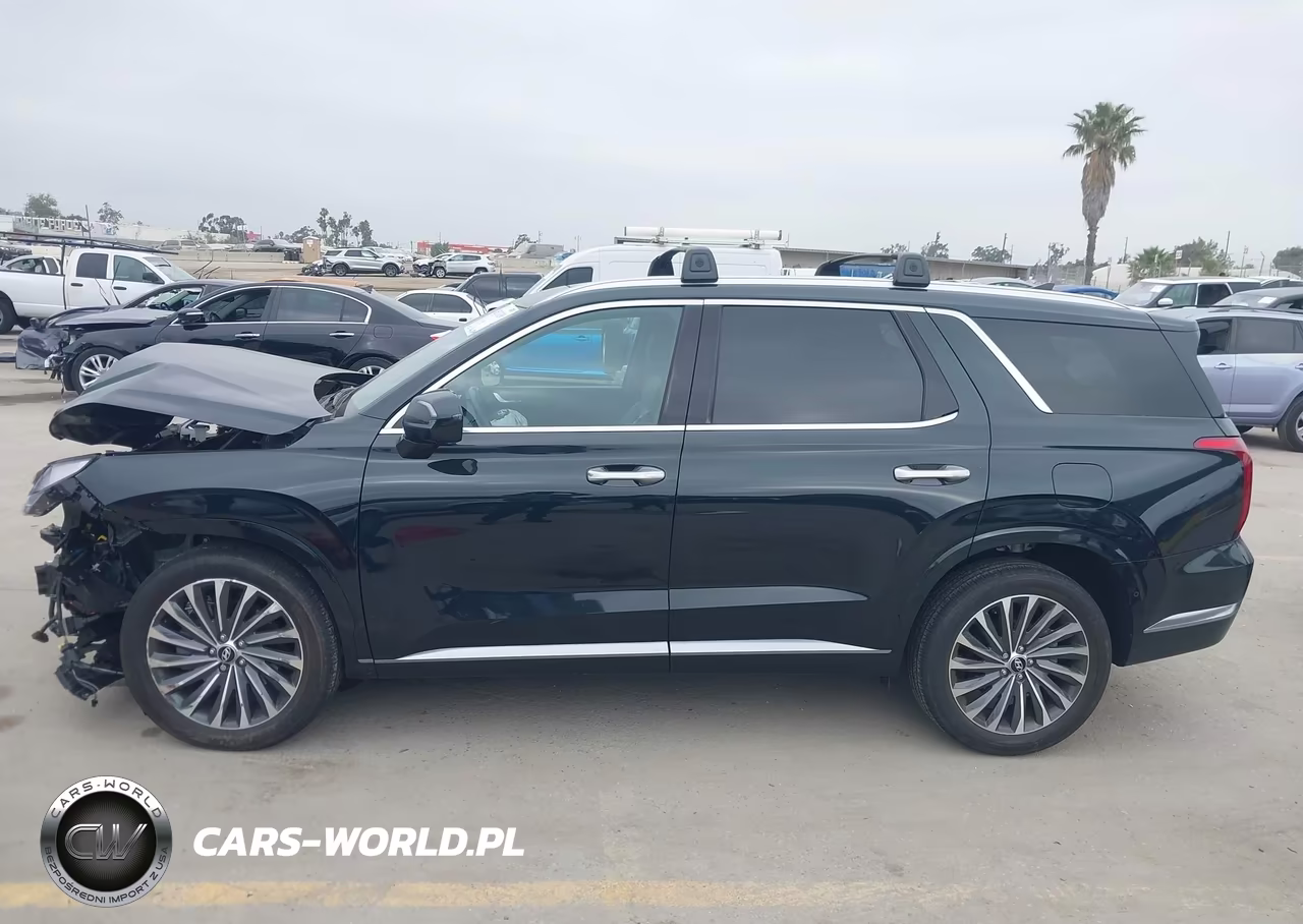 2024 Hyundai Palisade Calligraphy VIN:KM8R7DGE0RU701098 - 15