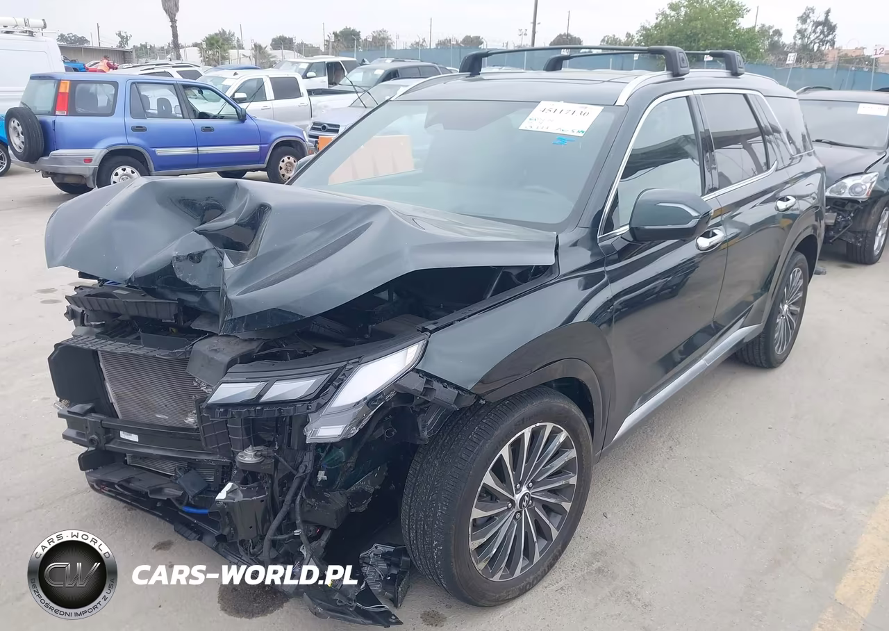 2024 Hyundai Palisade Calligraphy VIN:KM8R7DGE0RU701098 - 2