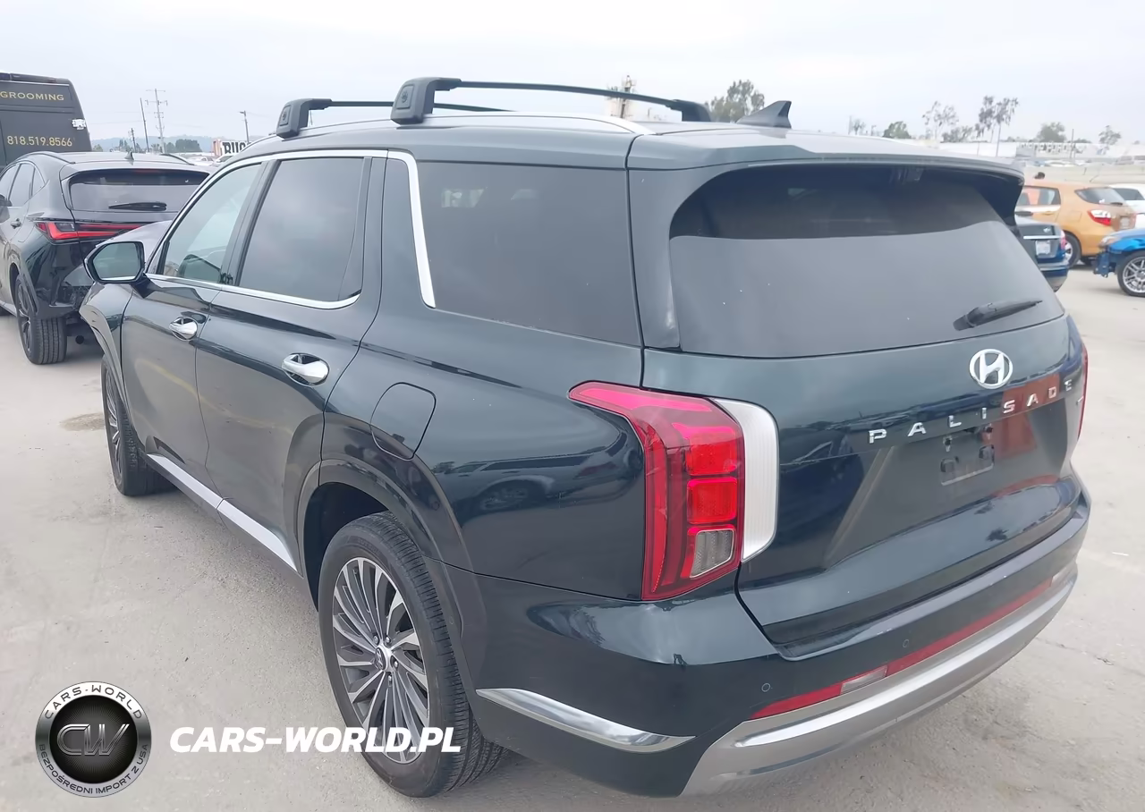 2024 Hyundai Palisade Calligraphy VIN:KM8R7DGE0RU701098 - 3