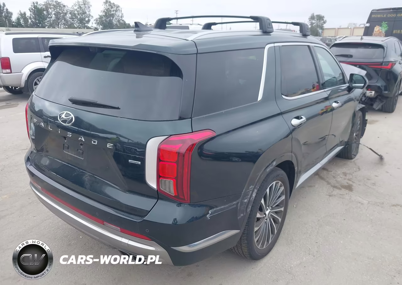 2024 Hyundai Palisade Calligraphy VIN:KM8R7DGE0RU701098 - 4
