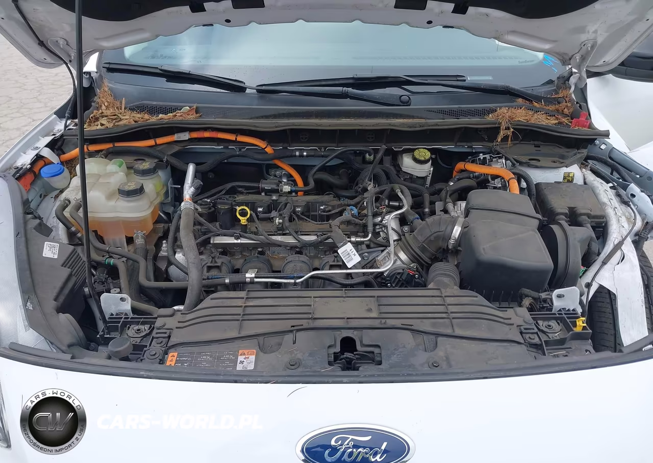 2021 Ford Escape Se Hybrid VIN:1FMCU0BZ7MUA25551 - 10