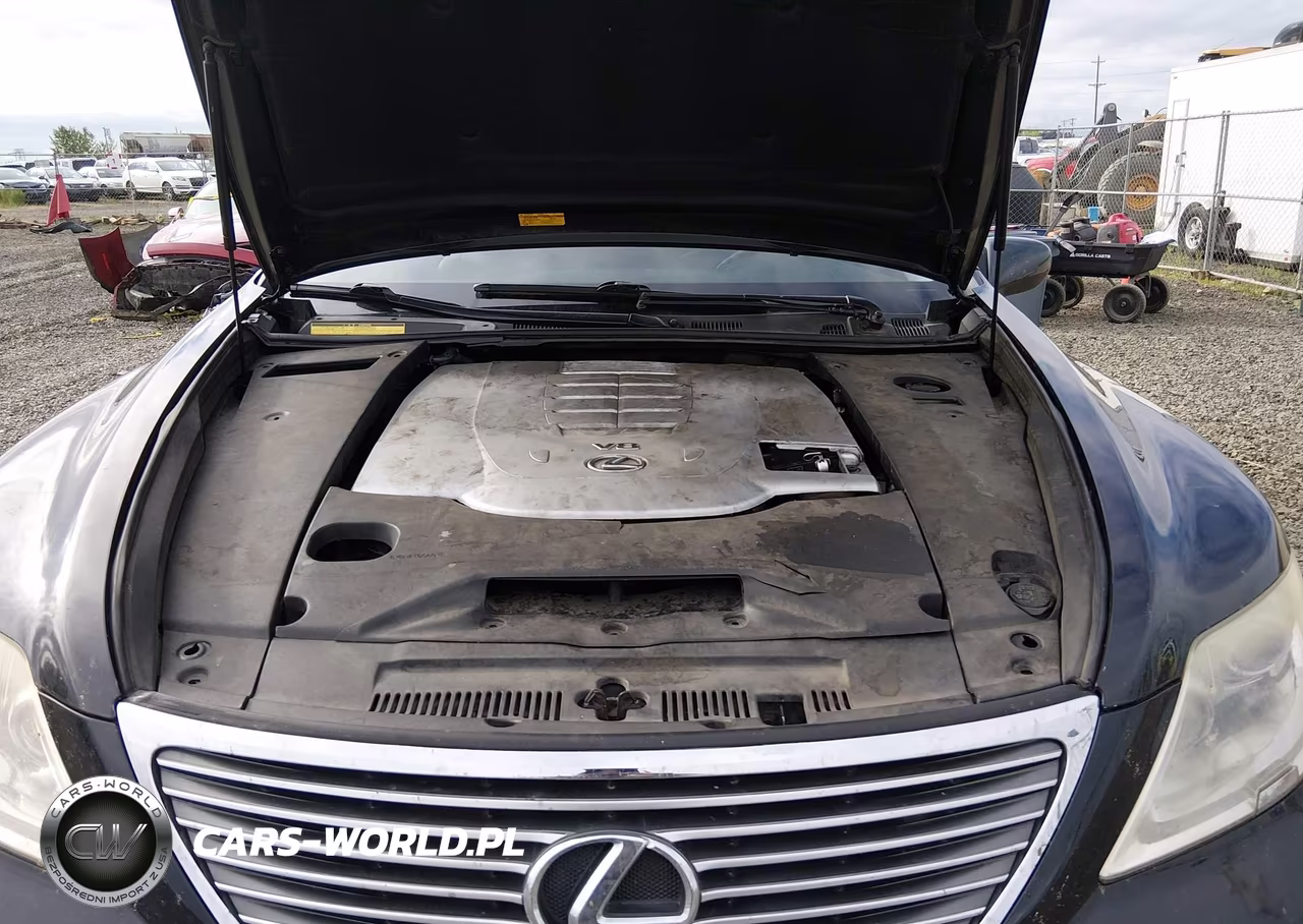 2008 Lexus Ls 460 VIN:JTHBL46F085066497 - 10