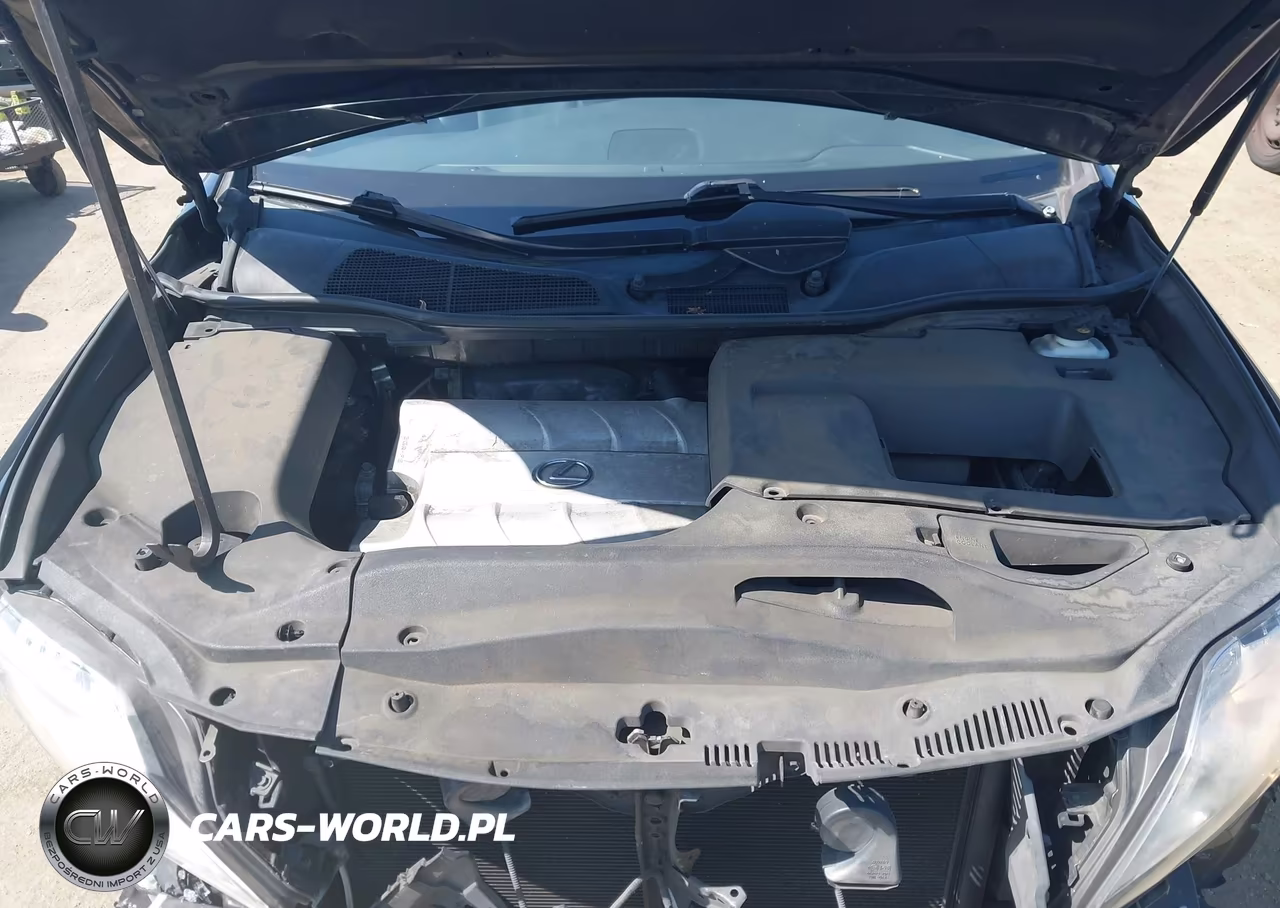 2010 Lexus Rx 350 VIN:2T2BK1BA5AC020696 - 10