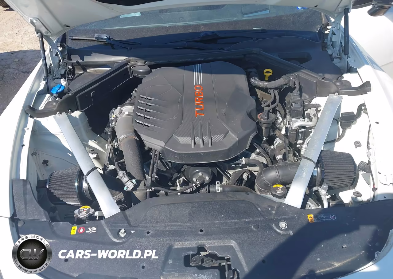 2020 Kia Stinger Gt2 VIN:KNAE55LC5L6075415 - 10