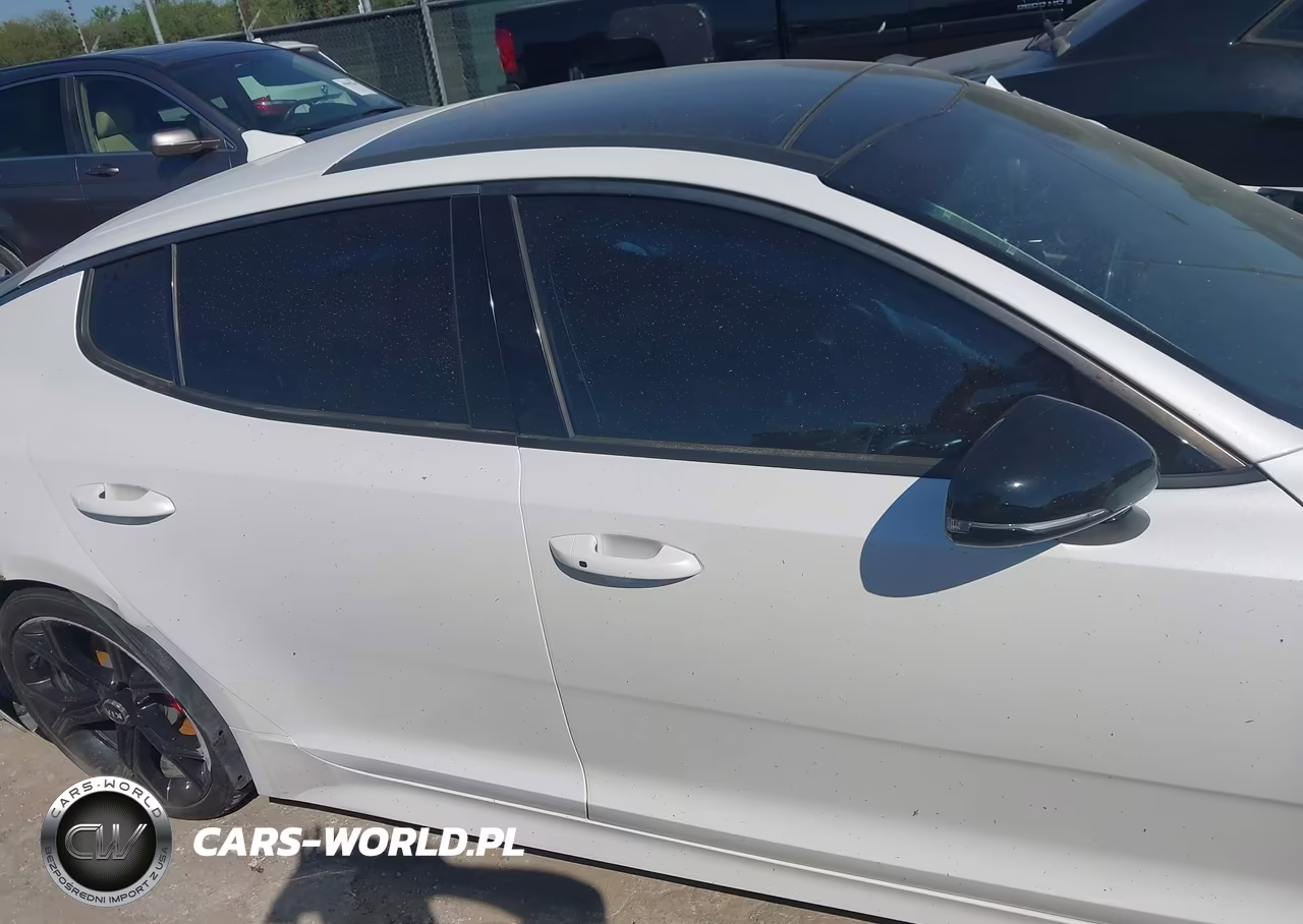 2020 Kia Stinger Gt2 VIN:KNAE55LC5L6075415 - 13