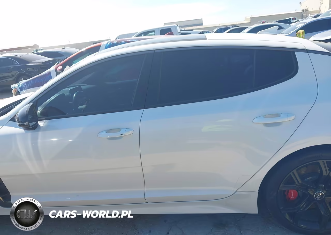 2020 Kia Stinger Gt2 VIN:KNAE55LC5L6075415 - 14