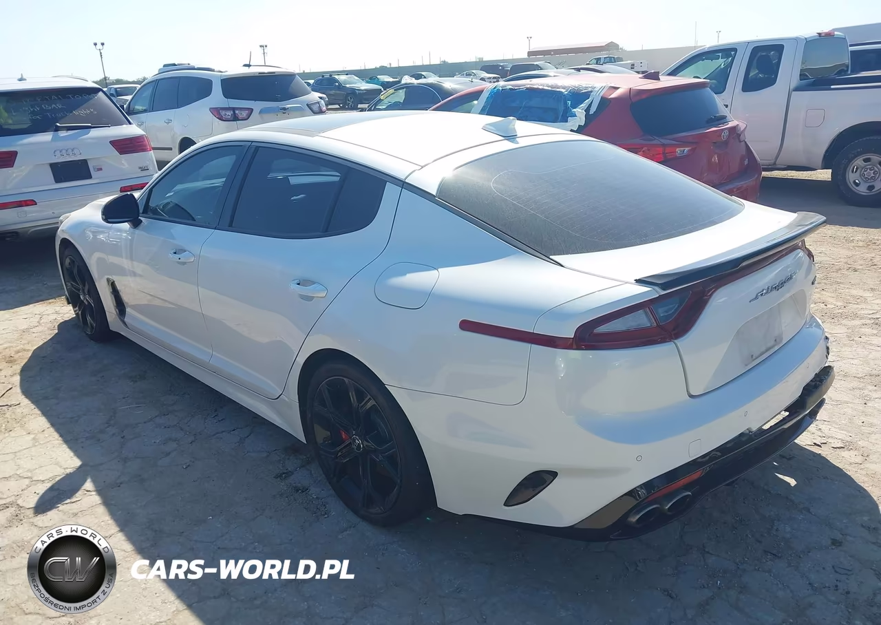 2020 Kia Stinger Gt2 VIN:KNAE55LC5L6075415 - 3