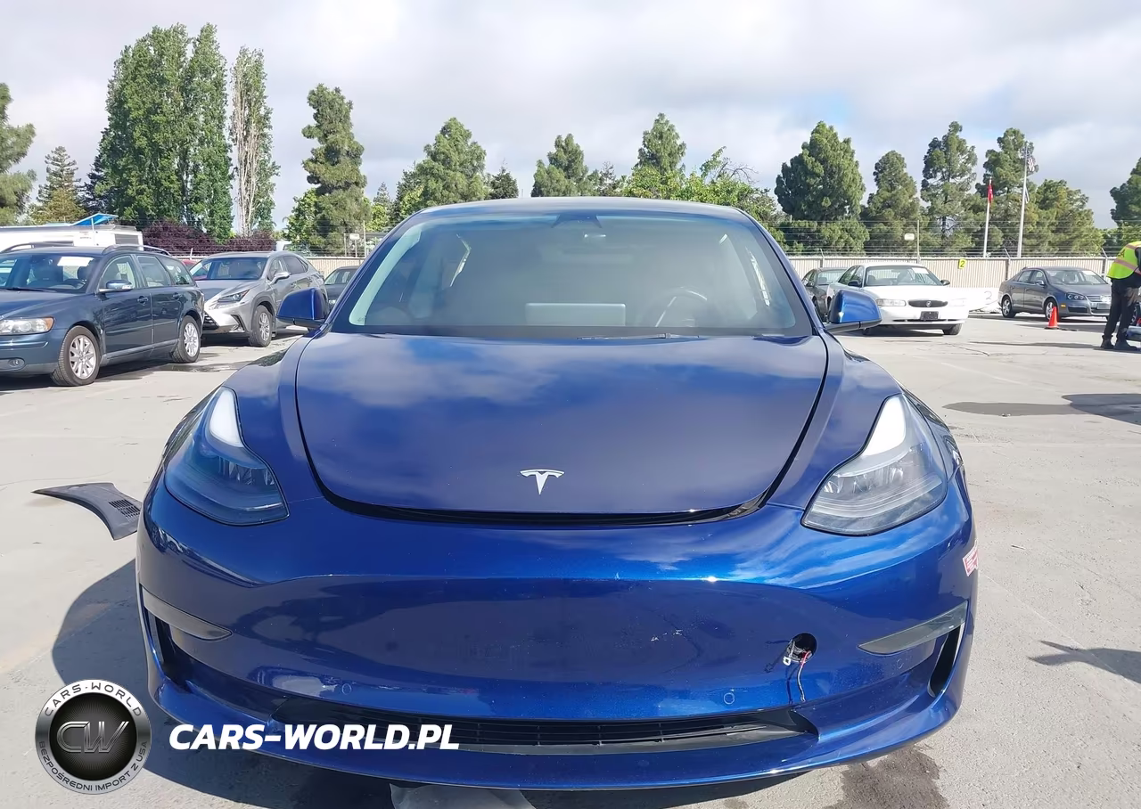 2022 Tesla Model 3 Rear-Wheel Drive VIN:5YJ3E1EA2NF314585 - 12