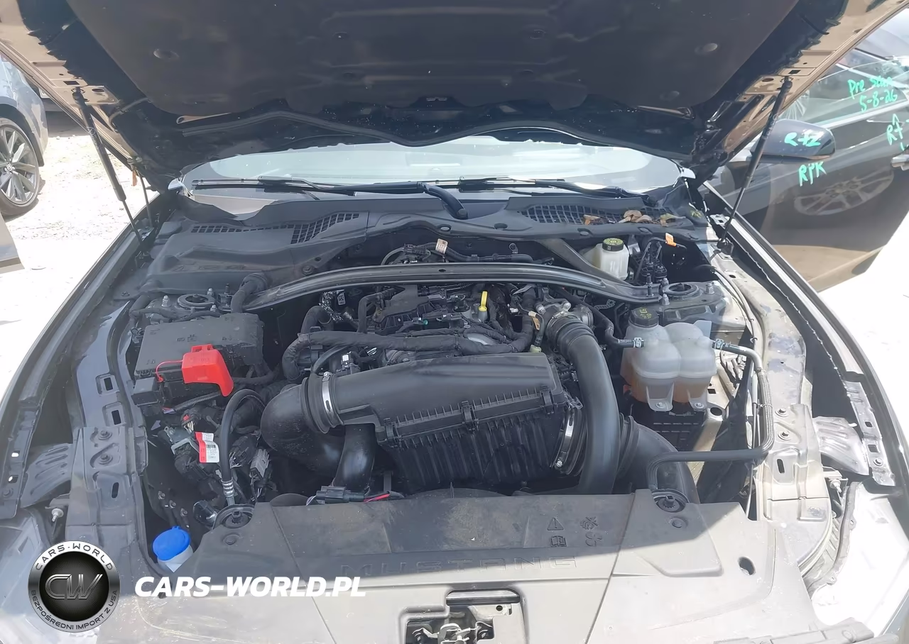 2025 Ford Mustang Ecoboost Premium VIN:1FAGP8UH7S5116462 - 10
