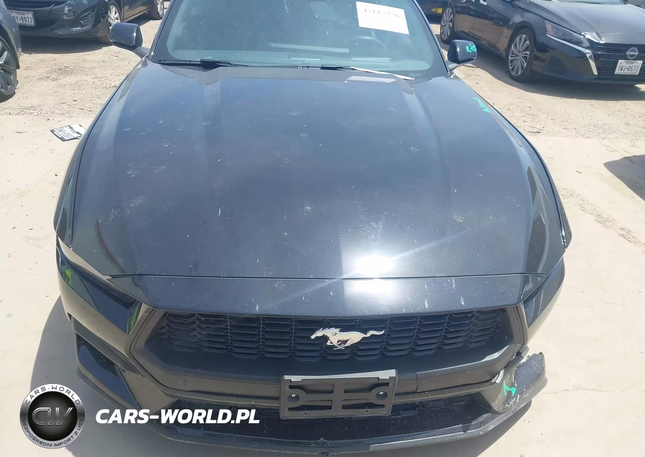 2025 Ford Mustang Ecoboost Premium VIN:1FAGP8UH7S5116462 - 12