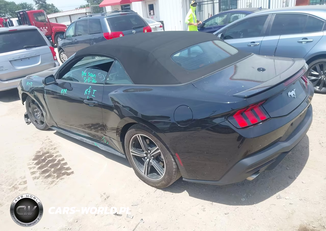 2025 Ford Mustang Ecoboost Premium VIN:1FAGP8UH7S5116462 - 3