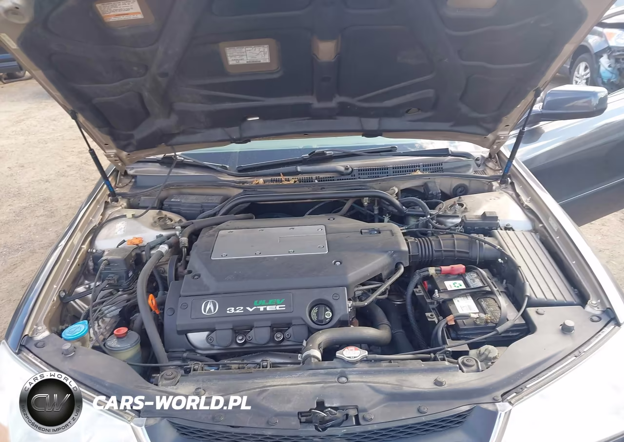2002 Acura Tl 3.2 VIN:19UUA56682A007977 - 10