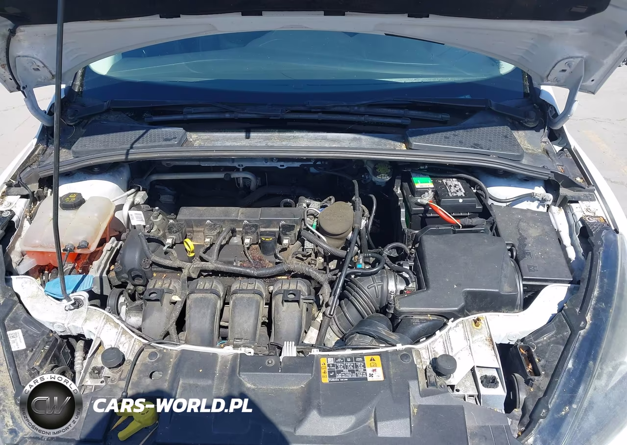 2016 Ford Focus Se VIN:1FADP3K29GL209362 - 10