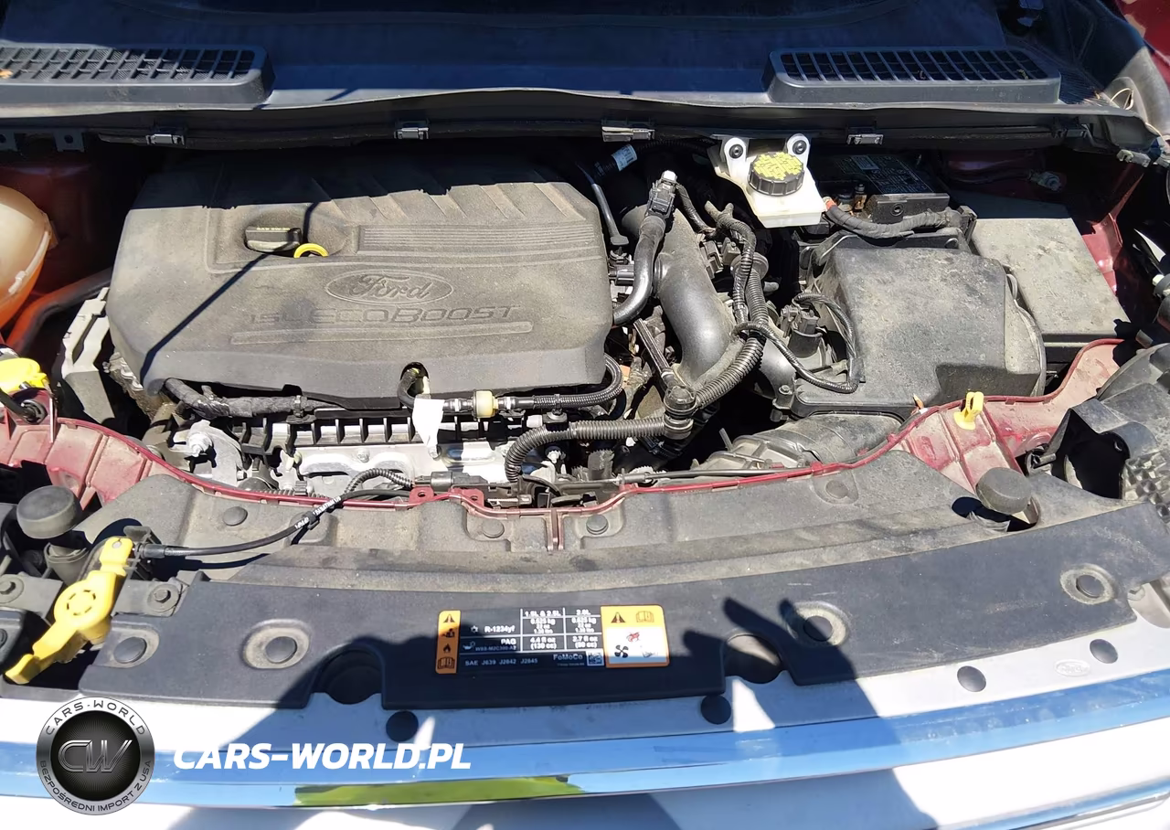 2019 Ford Escape Se VIN:1FMCU0GD1KUB95575 - 10