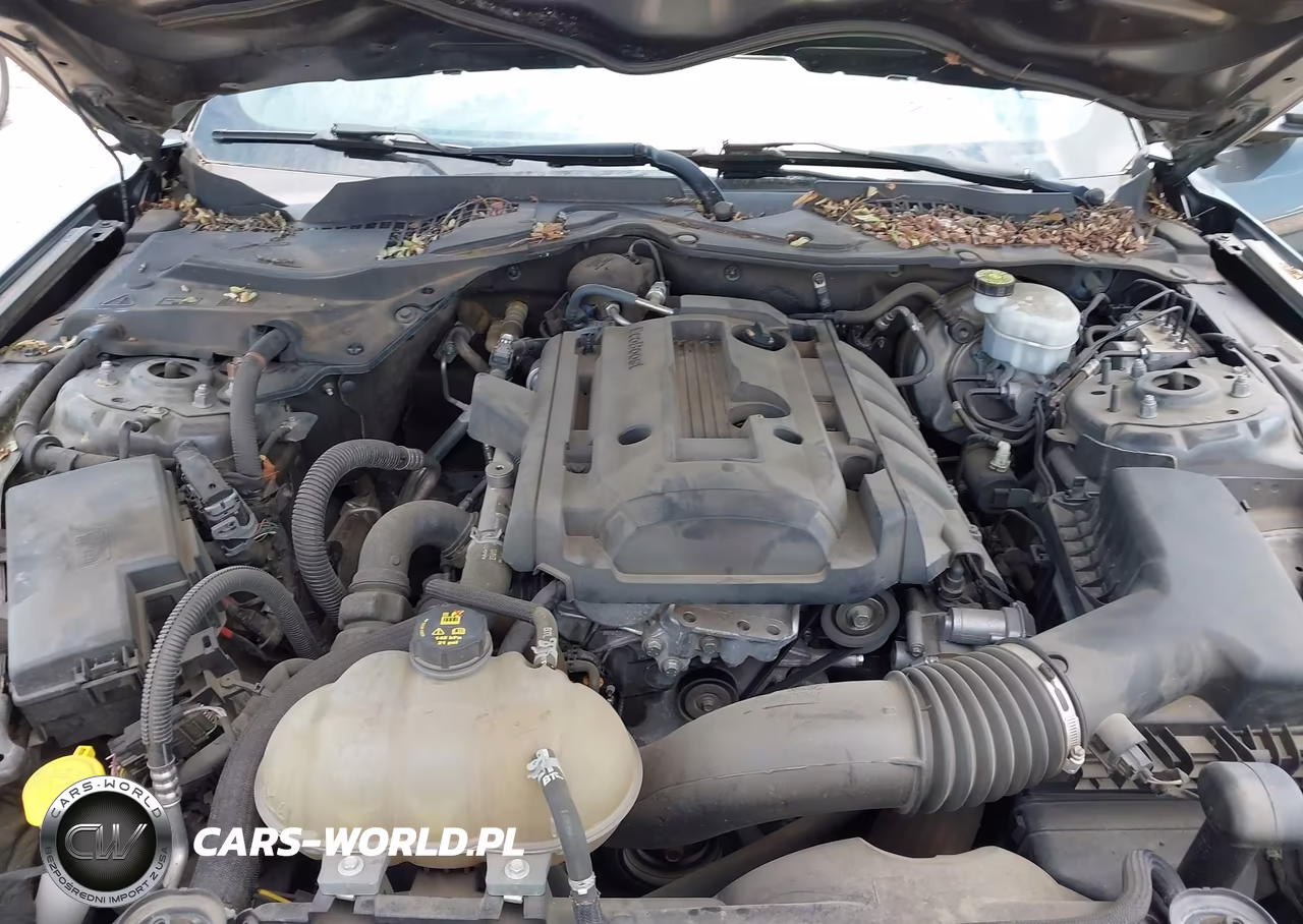 2019 Ford Mustang Ecoboost VIN:1FA6P8TH7K5175153 - 10