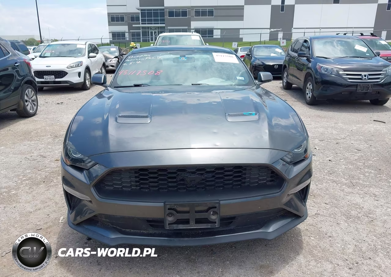 2019 Ford Mustang Ecoboost VIN:1FA6P8TH7K5175153 - 12