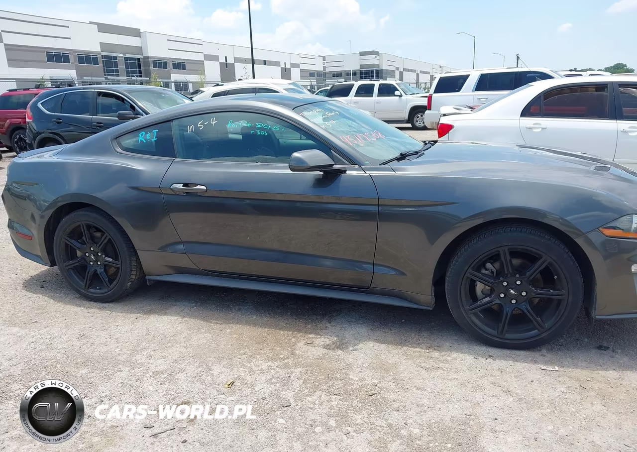 2019 Ford Mustang Ecoboost VIN:1FA6P8TH7K5175153 - 13