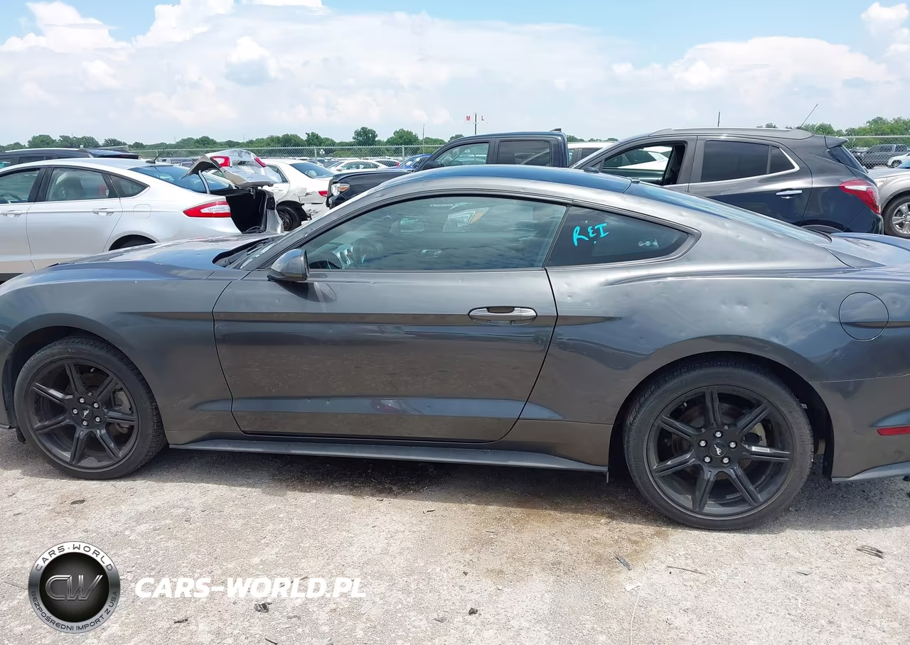 2019 Ford Mustang Ecoboost VIN:1FA6P8TH7K5175153 - 14