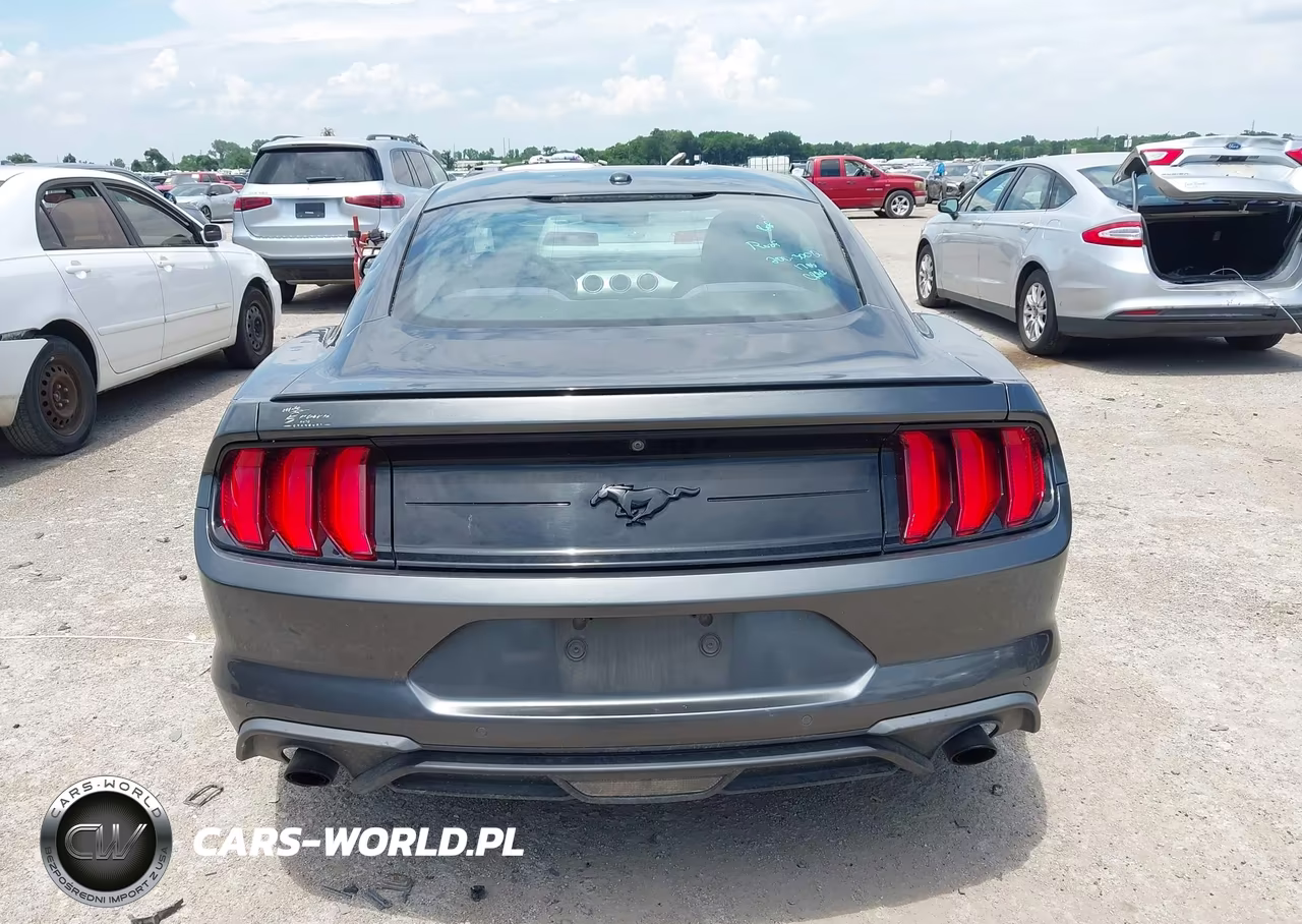 2019 Ford Mustang Ecoboost VIN:1FA6P8TH7K5175153 - 16
