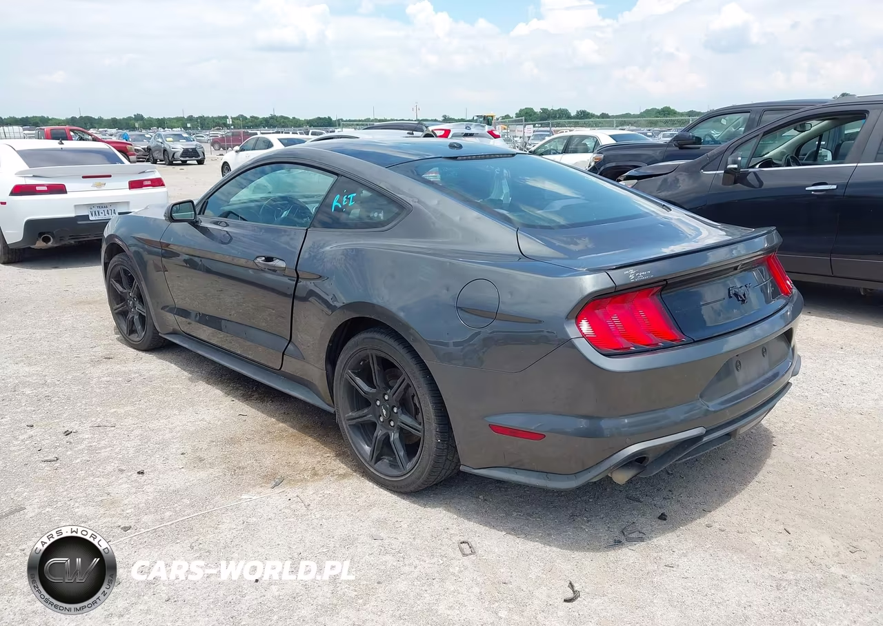 2019 Ford Mustang Ecoboost VIN:1FA6P8TH7K5175153 - 3