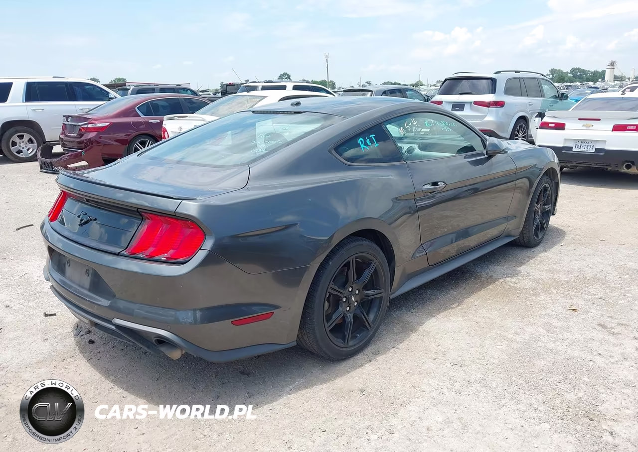 2019 Ford Mustang Ecoboost VIN:1FA6P8TH7K5175153 - 4