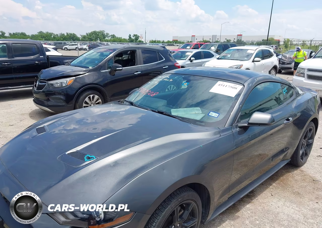 2019 Ford Mustang Ecoboost VIN:1FA6P8TH7K5175153 - 6
