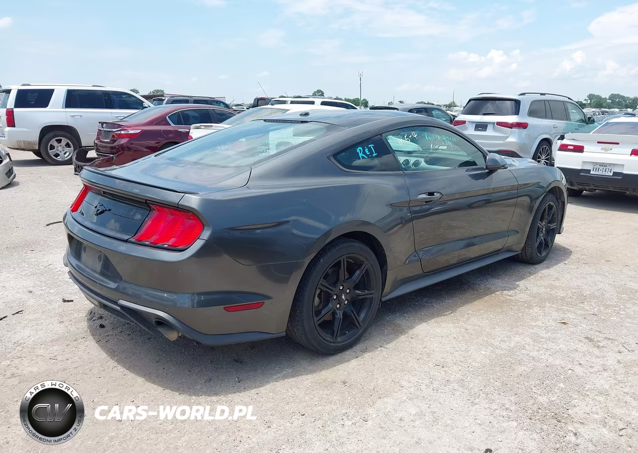 2019 Ford Mustang Ecoboost VIN:1FA6P8TH7K5175153 - 8