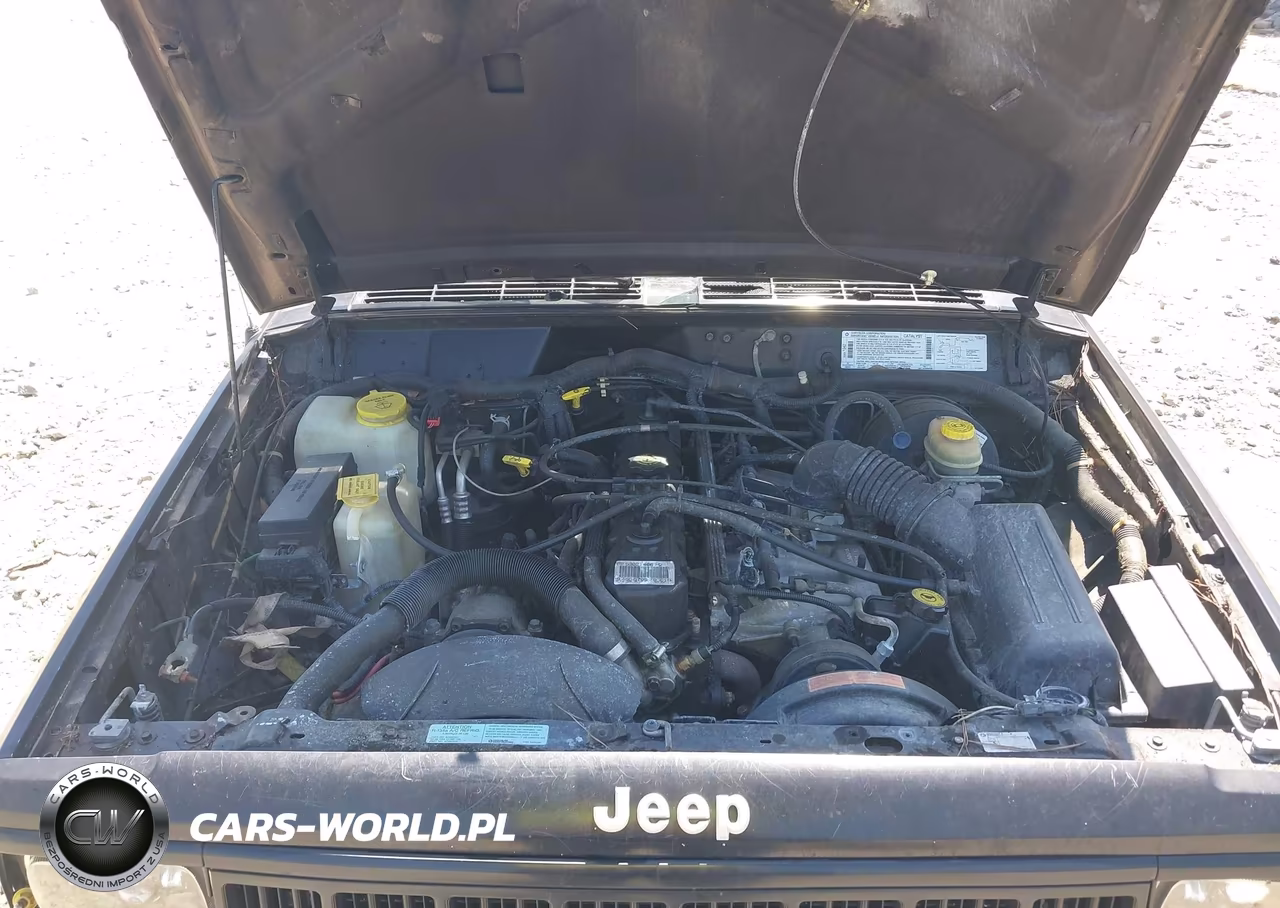1996 Jeep Cherokee Sport-Classic VIN:1J4FJ68S6TL253899 - 10