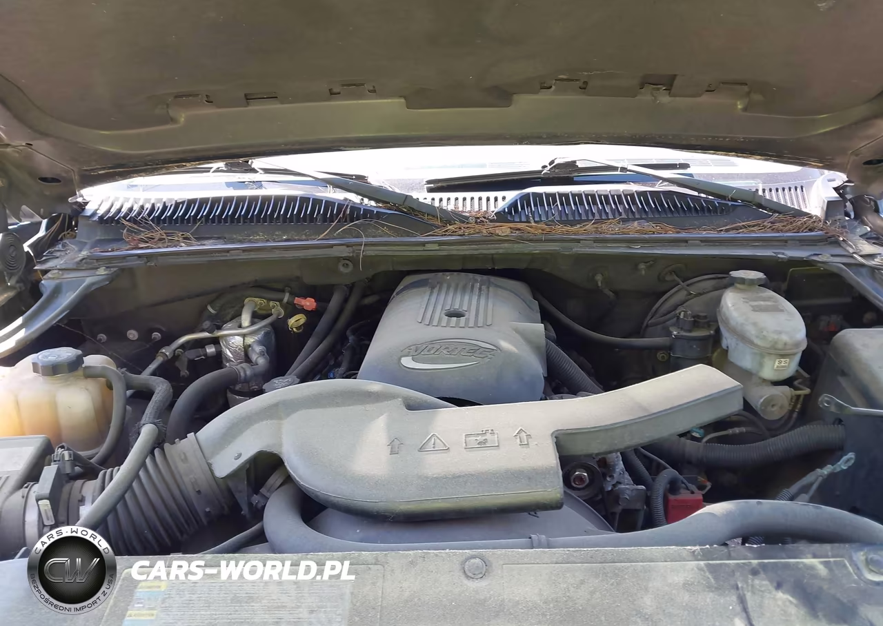 2003 Chevrolet Avalanche 1500 VIN:3GNEC13T33G183202 - 10