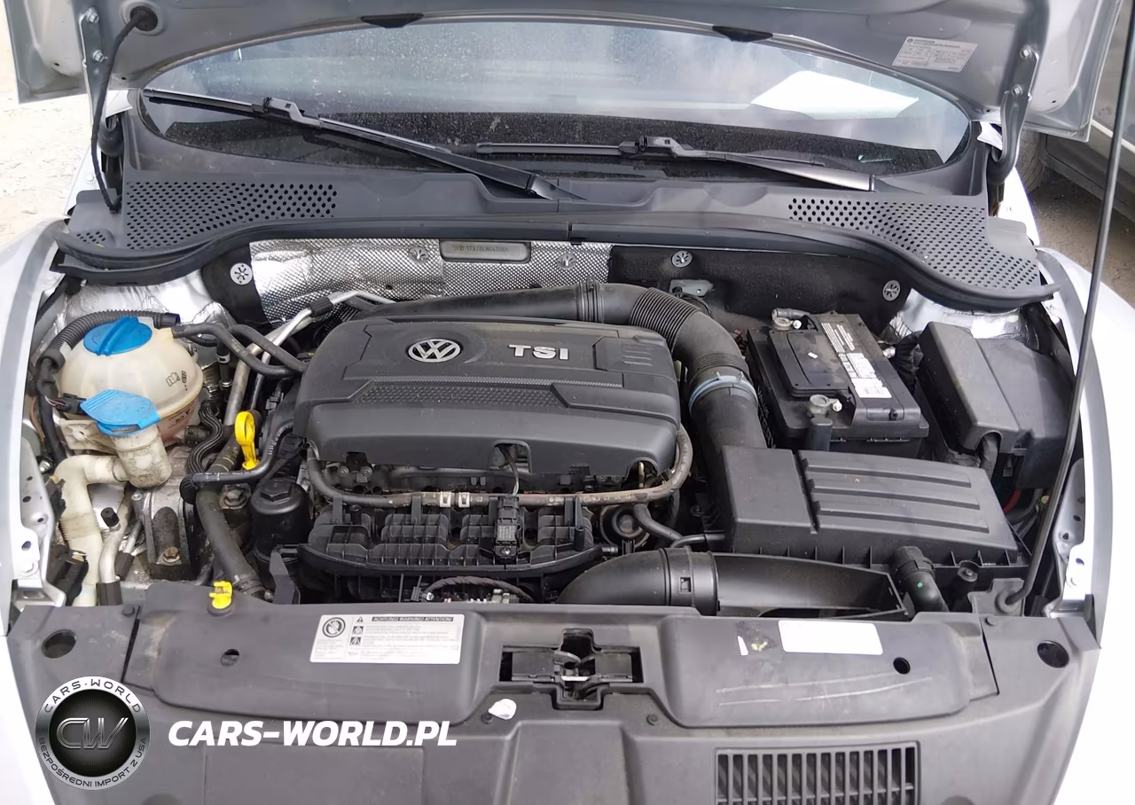 2014 Volkswagen Beetle 1.8T Entry VIN:3VWF17AT8EM642864 - 10