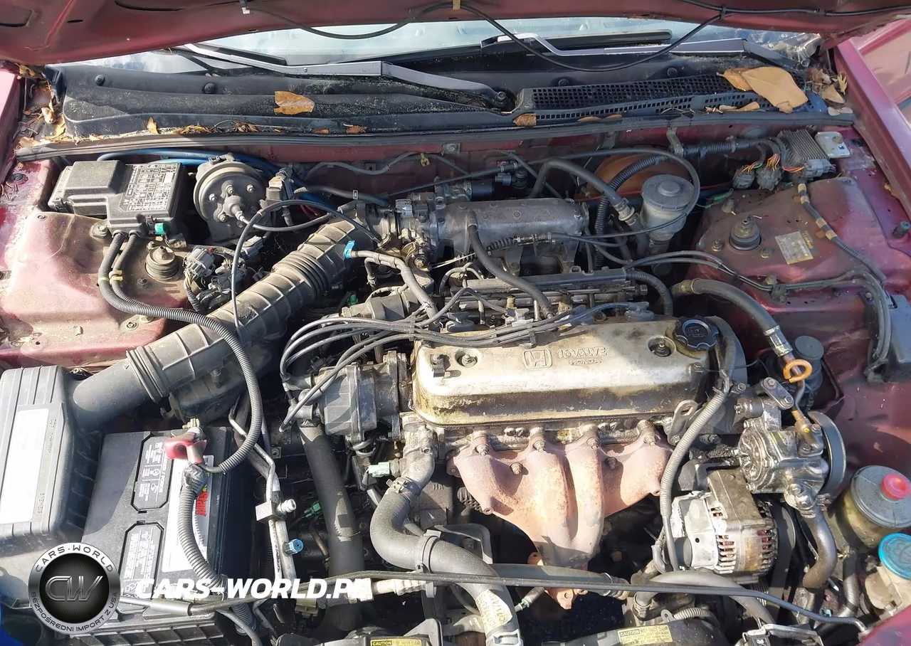 1995 Honda Accord Lx-Ex VIN:1HGCD5632SA035010 - 10