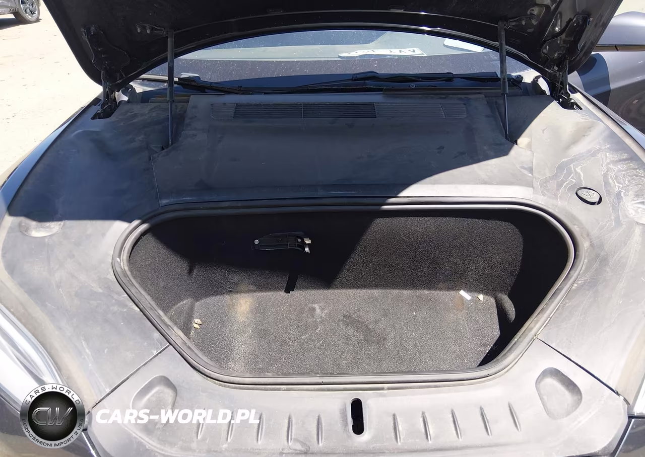2021 Tesla Model S Long Range Dual Motor All-Wheel Drive VIN:5YJSA1E50MF428223 - 10