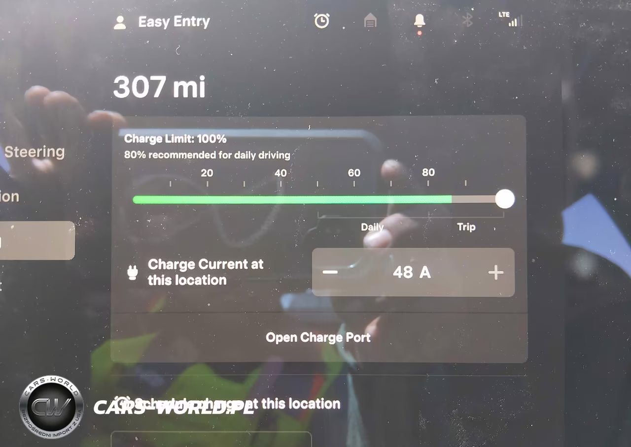 2021 Tesla Model S Long Range Dual Motor All-Wheel Drive VIN:5YJSA1E50MF428223 - 17