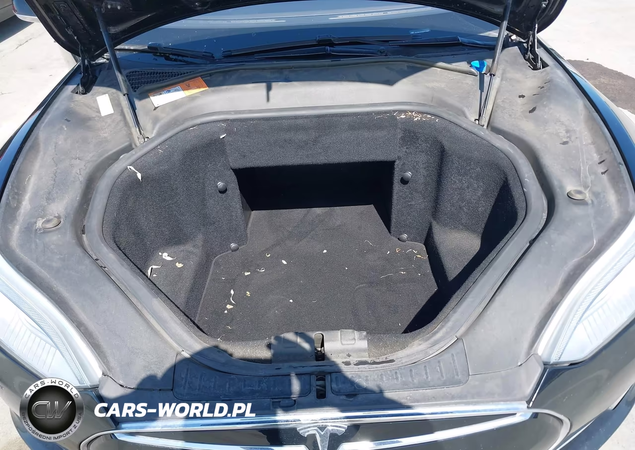 2013 Tesla Model S Performance VIN:5YJSA1CPXDFP24967 - 10